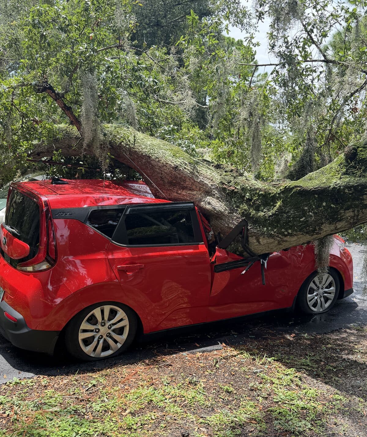 A massive moss-covered oak leader lying across a parked car in an apartment complex parking lot in Daytona Beach, Florida, with the roof and driver's side crushed