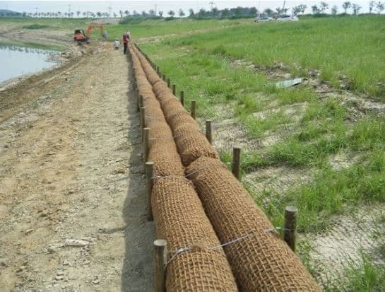 Coir log erosion control installation along a graded slope bordering a waterway